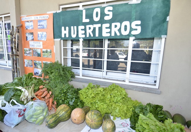070717 Las huertas orgánicas son otra posibilidad de sustento economico